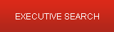 Executive Search